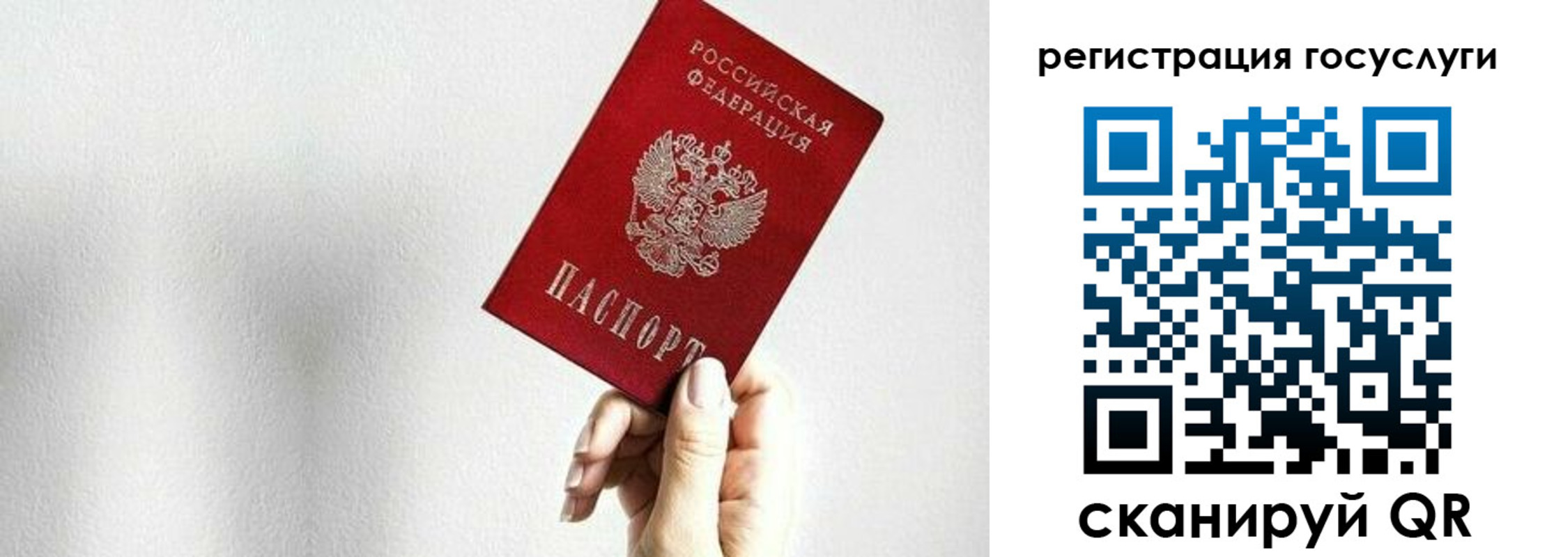 прописка гарантия в Малой Вишере
